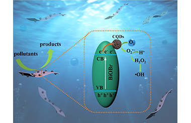 In-situ Synthesis of CQDs/BiOBr Material via Mechanical Ball Milling with Enhanced Photocatalytic Performances 2022-0141